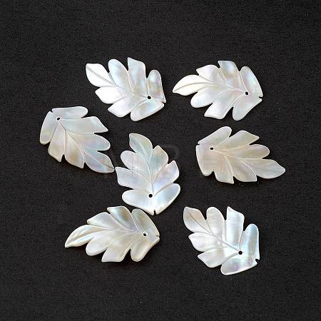 Natural Sea Shell Pendants SSHEL-K001-002-1