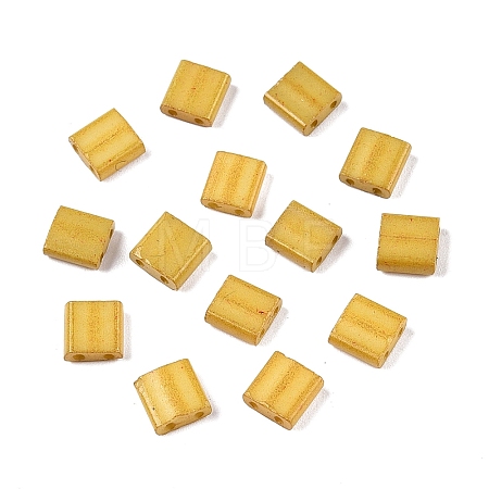 2-Hole Baking Paint Glass Seed Beads SEED-S023-17C-22-1