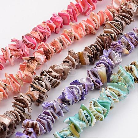 Natural Shell Bead Strands BSHE-P010-M-1