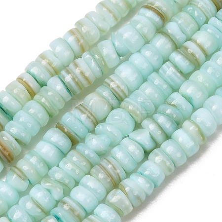 Dyed Natural Freshwater Shell Beads Strands SH-CBA2978-05C-1