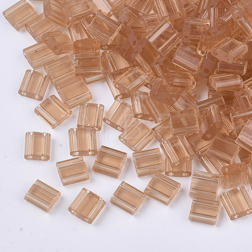 2-Hole Glass Seed Beads SEED-T003-01C-05-1