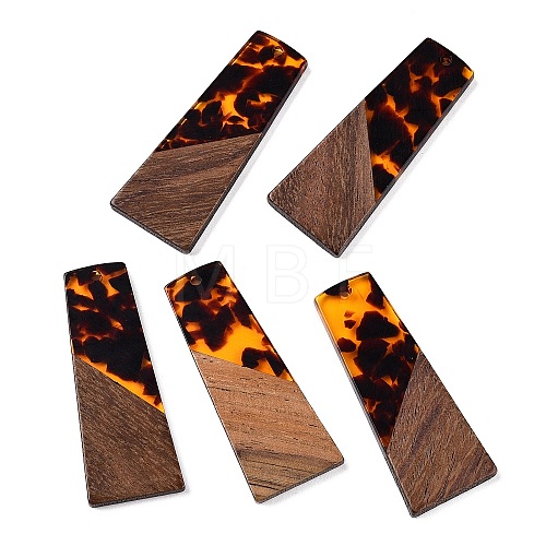 Opaque Resin & Walnut Wood Pendants RESI-T058-04C-1