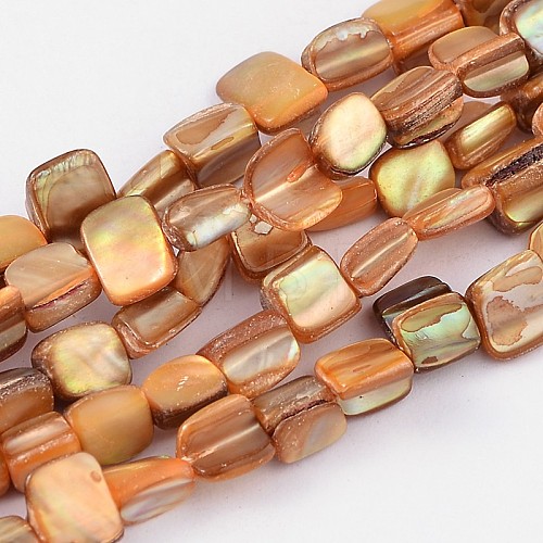 Natural Sea Shell Beads S00C50N2-1