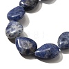 Natural Blue Spot Jasper Beads Strands G-P561-B06-01-4