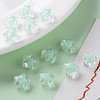 Transparent Acrylic Beads TACR-S152-01A-SS2111-6