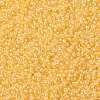 MIYUKI Round Rocailles Beads SEED-X0055-RR0202-3