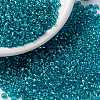 MIYUKI Round Rocailles Beads SEED-JP0009-RR1822-1