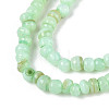 Natural Freshwater Shell Dyed Beads Strands SHEL-T020-29B-03-3