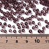 Glass Seed Beads SEED-US0003-3mm-16-3