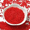Baking Paint Glass Seed Beads SEED-P006-03A-10-2