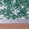 MIYUKI Delica Beads X-SEED-J020-DB0919-4