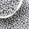 6/0 Glass Seed Beads X1-SEED-L011-08A-12-1