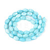 Natural Trochus Shell Beads Strands SHEL-K006-19-01B-2