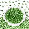 Transparent Colours Glass Seed Beads SEED-N007-39B-07-2
