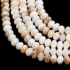 Natural Freshwater Shell Beads Strands SHEL-C010-04A-01-2
