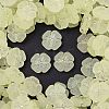 Frosted Transparent Acrylic Beads X1-OACR-P029-19B-03-1