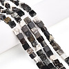 Natural Biotite Beads Strands G-N346-05A-01-1
