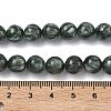 Natural Seraphinite Beads Strands G-C270-O01-07-5