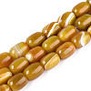 Natural Agate Beads Strands G-N356-02A-06-2