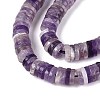 Natural Amethyst Beads Strands G-T142-6mm-12-3