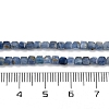 Natural Kyanite Beads Strands G-B088-E24-03A-3