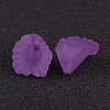 Transparent Acrylic Beads PL622-C17-2