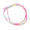 Rainbow Color Dyed Natural Freshwater Shell Beads Strands X1-SHEL-G018-02A-2