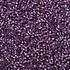 MIYUKI Delica Beads SEED-J020-DB2169-3