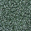 MIYUKI Delica Beads X-SEED-J020-DB0689-3