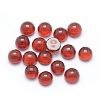 Natural Carnelian Cabochons X-G-P393-R03-4mm-1