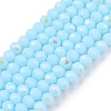 Electroplate Opaque Solid Color Glass Beads Strands EGLA-A044-P1mm-L06-1