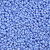 12/0 FGB Grade A Round Glass Seed Beads SEED-N001-A-1022-2