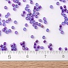 MIYUKI Delica Beads SEED-JP0008-DB1755-4