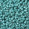 TOHO 8/0 Round Beads SEED-XTR08-0413F-1