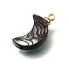 Natural Abalone Shell Pendants SH-CJC0AC7-01E-G-2