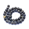Natural Iolite Beads Strands G-E561-16-10mm-2