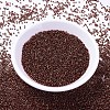 MIYUKI Delica Beads SEED-X0054-DB1202-2