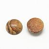 Natural Picture Jasper Cabochons G-R416-16mm-42-2