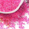 Glass Seed Beads X-SEED-S042-13A-09-1