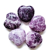 Natural Lepidolite Display Decorations X-PW-WG37563-09-1