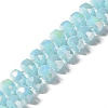 Glass Beads Strands GLAA-G097-05B-1