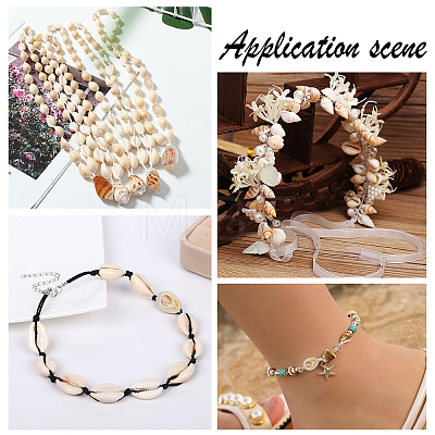 135Pcs 5 Size Natural Conch Shell Beads BSHE-PH0001-14-1