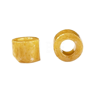 Cylinder Seed Beads SEED-H001-H22-1