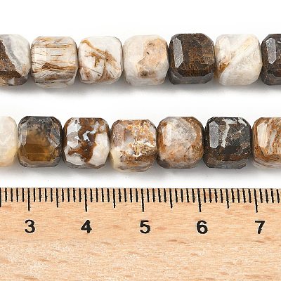 Natural Petrified Wood Beads Strands G-C267-A06-1