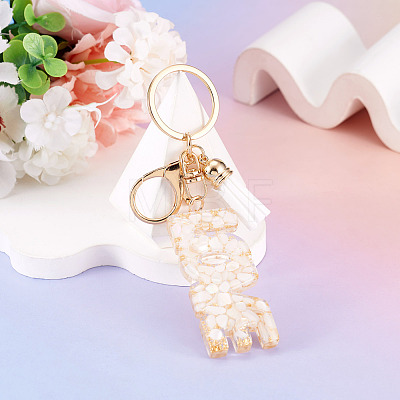 Alloy & Resin Tassel Keychainss AJEW-TADJ0001-20G-03-1