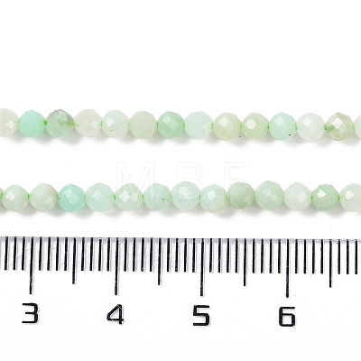 Natural Chrysoprase Beads Strands G-P542-A04-02-1