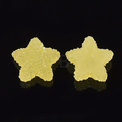 Resin Cabochons CRES-N019-05E-1