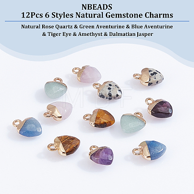 12Pcs 6 Styles Natural Gemstone Charms G-NB0003-74-1