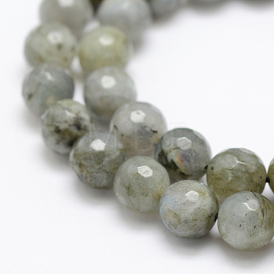 Natural Labradorite Beads Strands G-P322-28-8mm-1