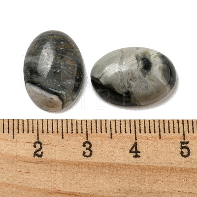 Natural Picasso Jasper Cabochons G-C115-01A-37-1